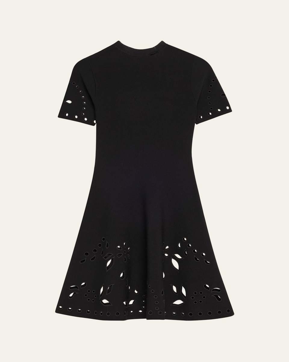 Fania Short-Sleeve Eyelet Mini Dress